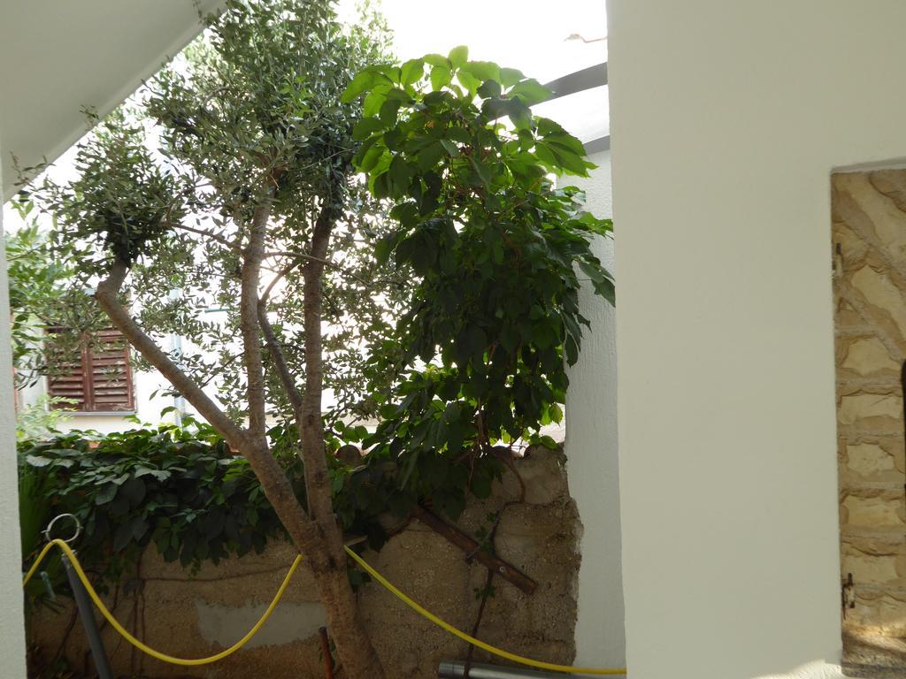 Apartments Bojanic Vodice Dış mekan fotoğraf