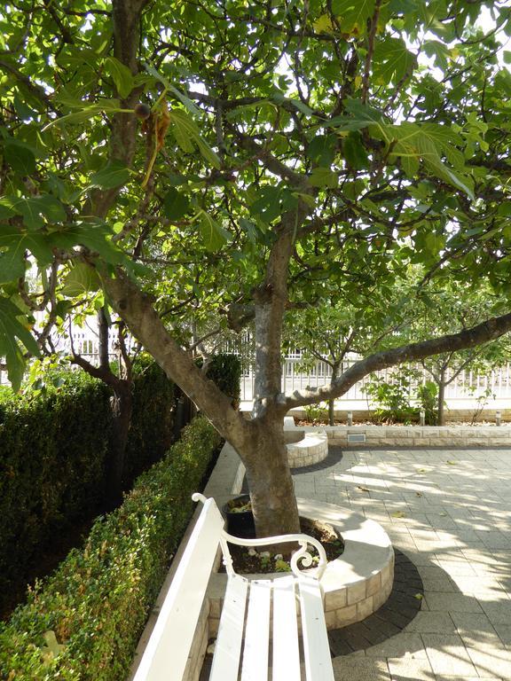 Apartments Bojanic Vodice Dış mekan fotoğraf